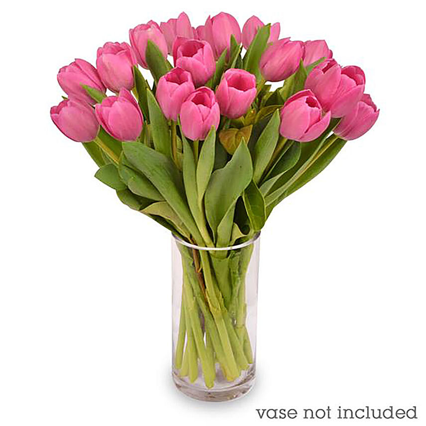 20 Pale Pink Tulips Bunch: 