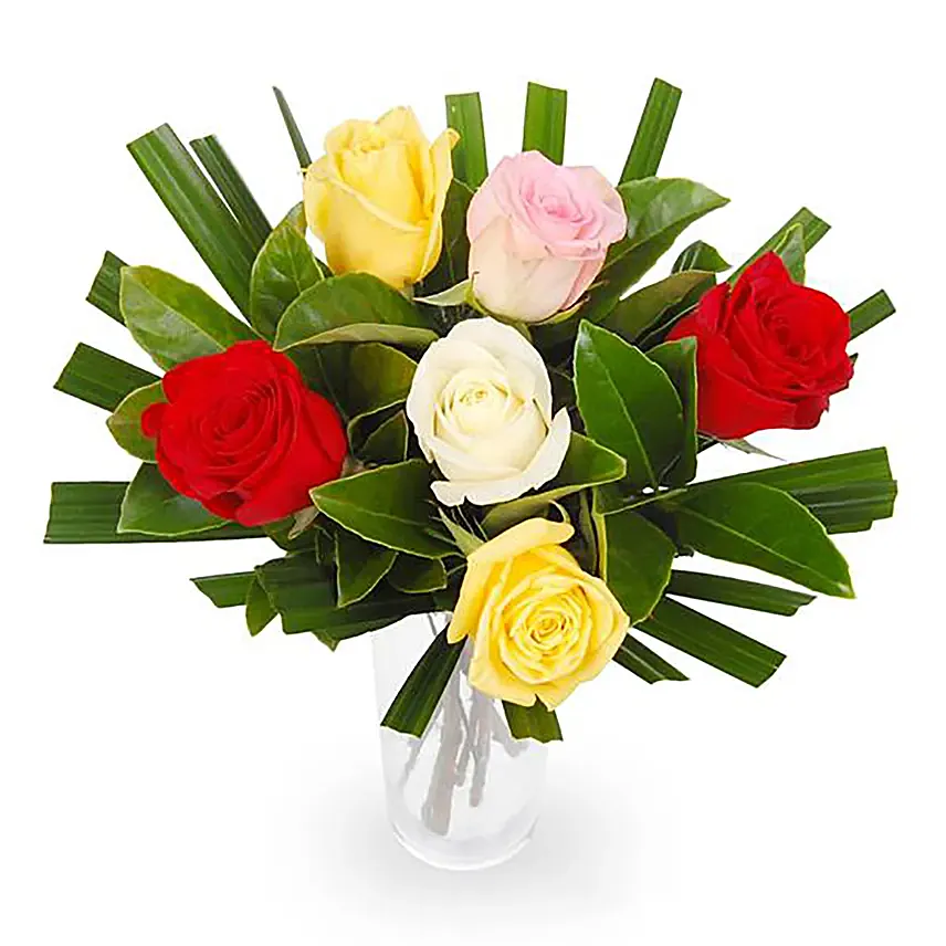 6 Mixed Roses Wrapped In a Paper: 