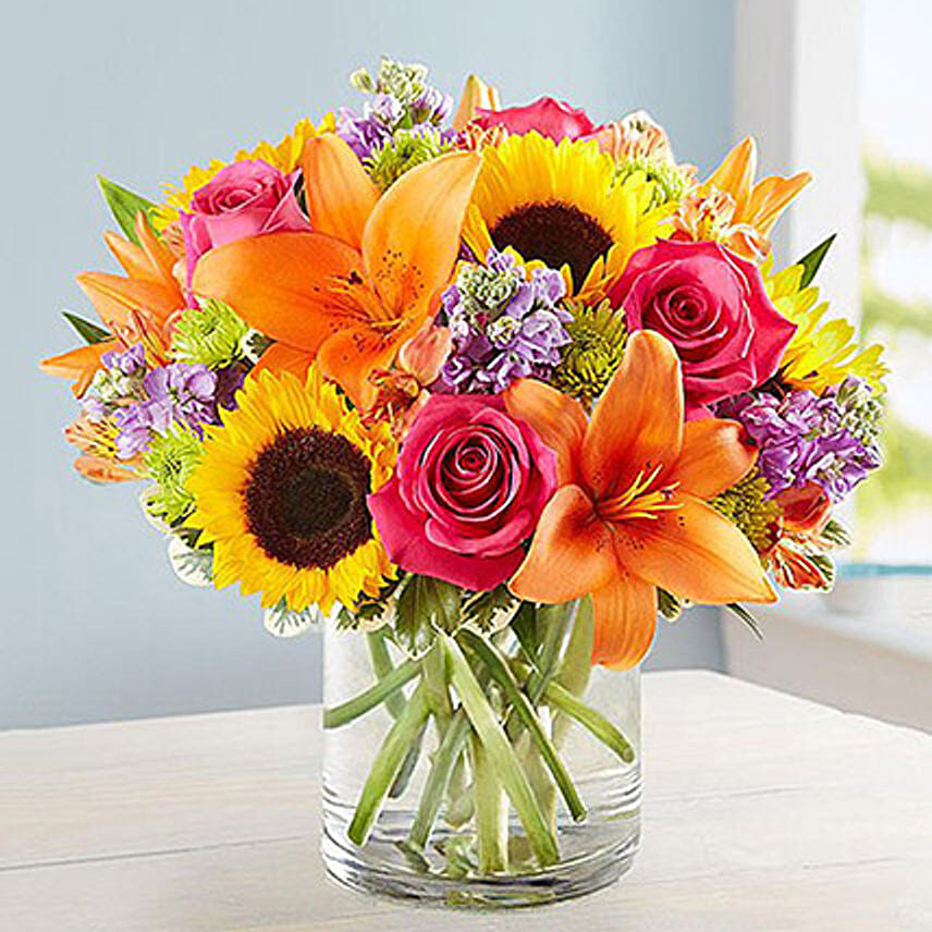 Vibrant Touch: 