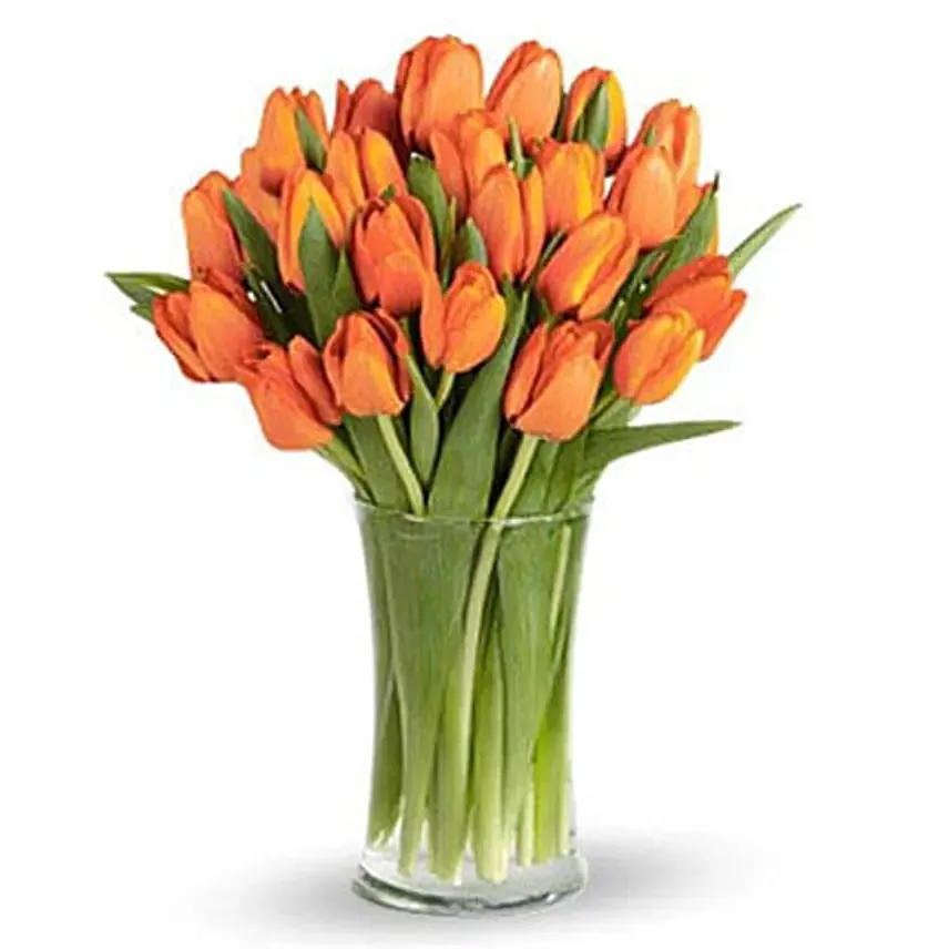 30 Orange Tulip Collection: 