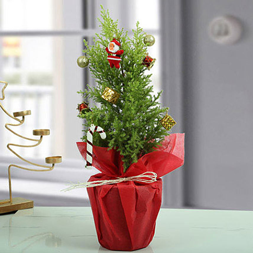 Decorated Christmas Tree: Gifts for Christmas