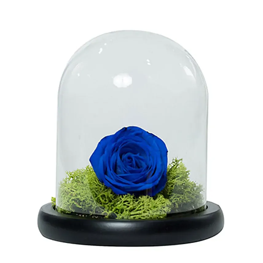 Elegant Blue Rose: Rakhi Gifts 