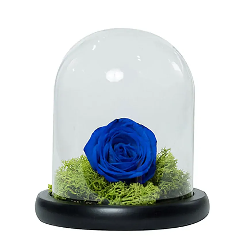 Elegant Blue Rose: Father's Day Flowers