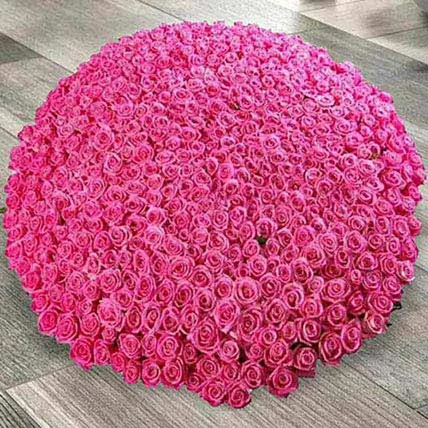 500 Dark Pink Roses Arrangement: Flower Delivery Ajman