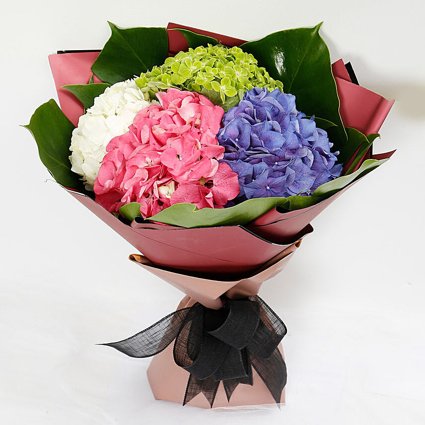 Beautiful 4 Colour Hydrangea Bouquet: Gifts for Librans