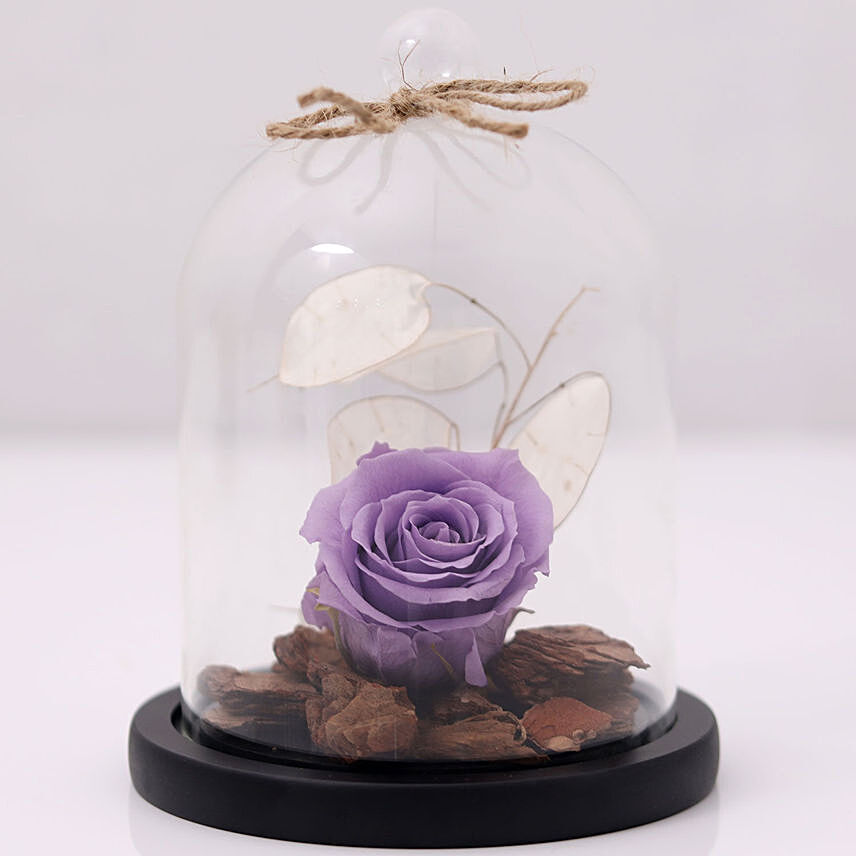 Purple Forever Rose In Glass Dome: Birthday Flowers for Girlfriend