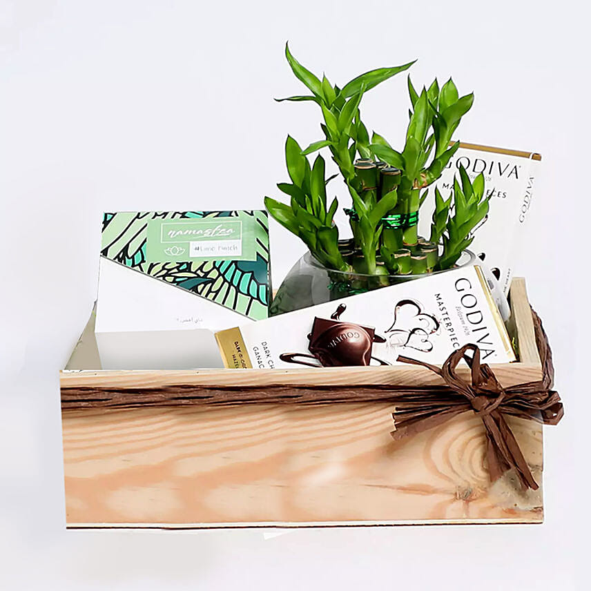The Faithful Greens Care Hamper With Goodies: Spiritual N Vastu Plants
