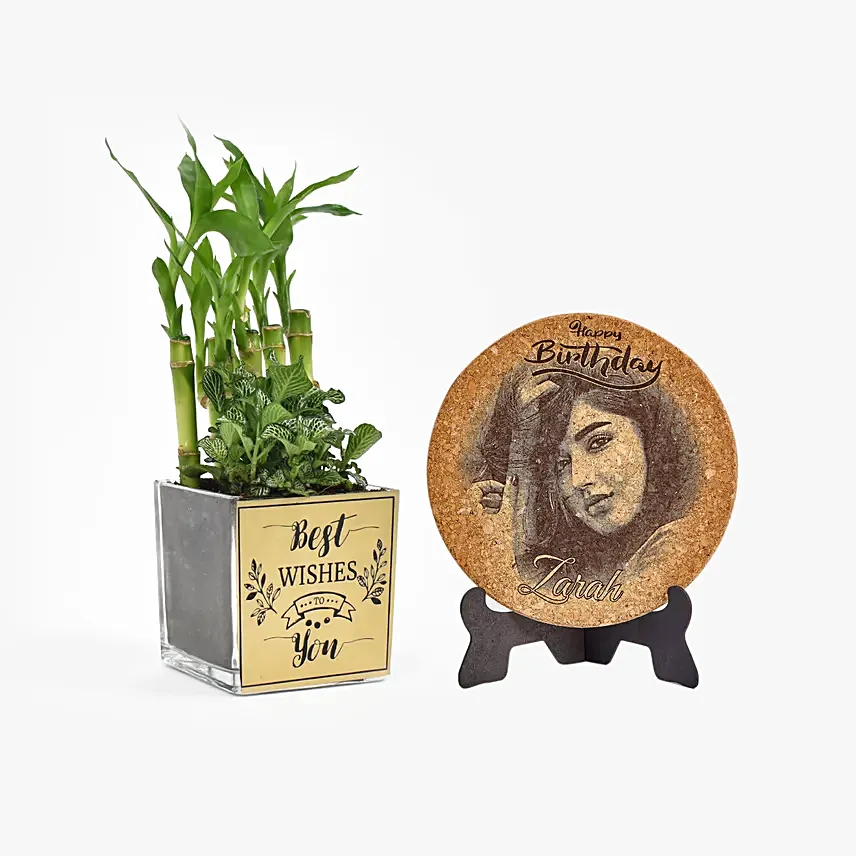 Best Wishes Plant n Personalised Plaque Combo: Good Luck Plants