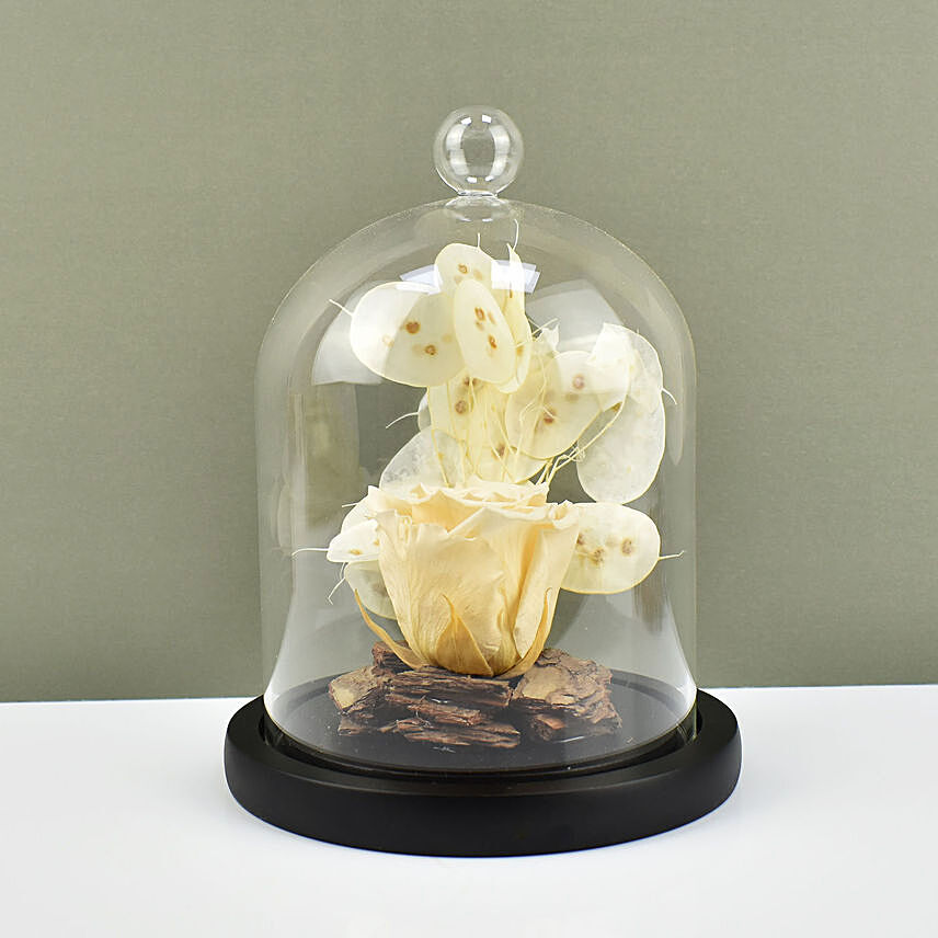 Peach Forever Rose In Glass Dome: Dried Flower Bouquet