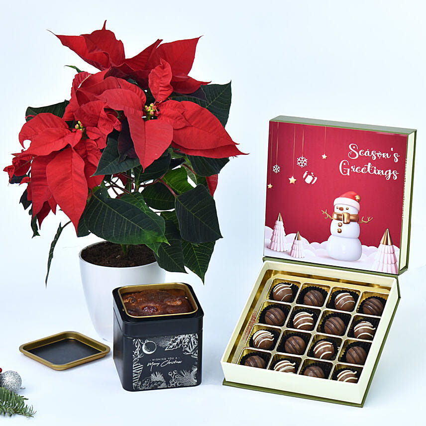 Delicious Treats and Poinsettia Combo: Plum Cakes Dubai