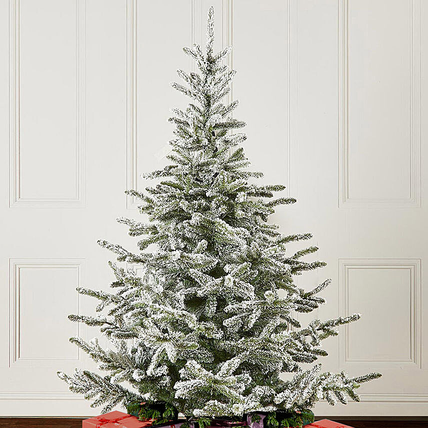 Fresh Snowy Christmas Tree: Order Christmas Trees : Fresh & Artificial