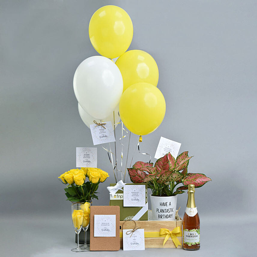 Birthday Week Wishes Hamper: New Arrival hampers