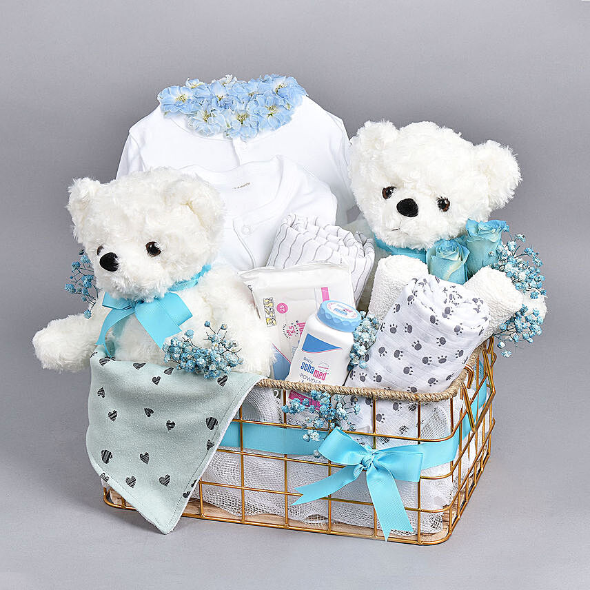 Double Joy New Born Baby Hamper For Twins: New Arrival hampers