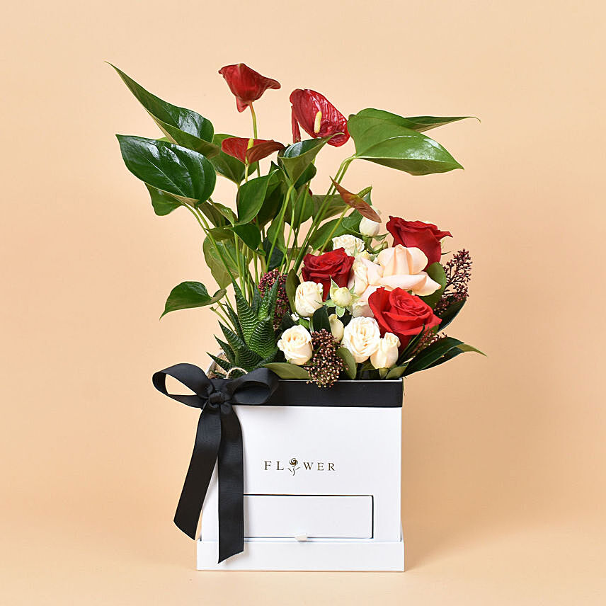 Flowers and Plants Box: Flowers N Plants