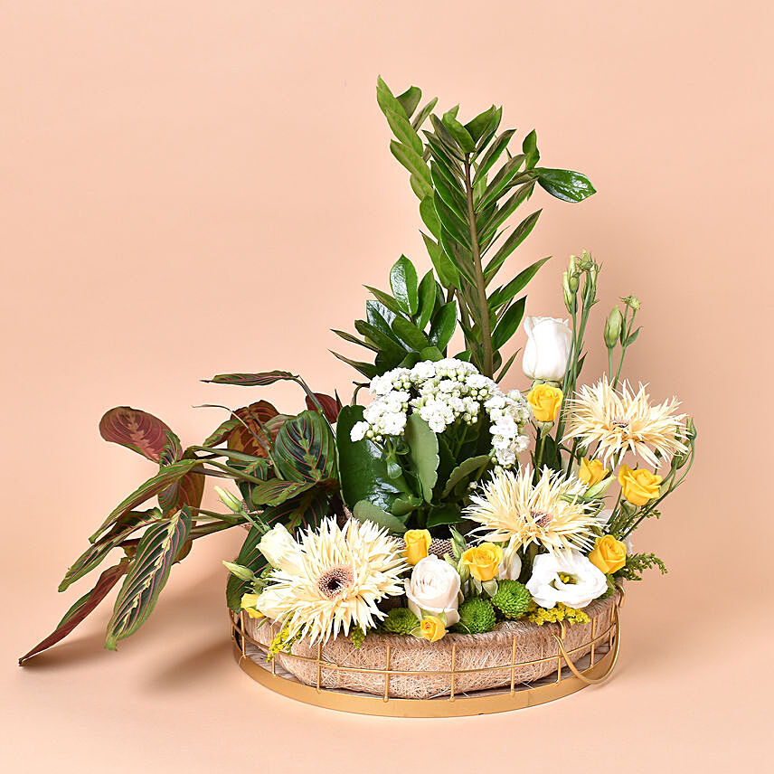 Thousand Wishes Plants & Flower Tray: 