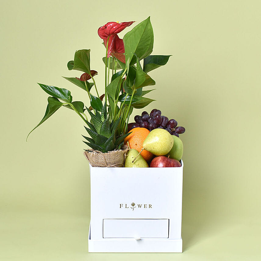 A Green Beginning: Plants N Fruits
