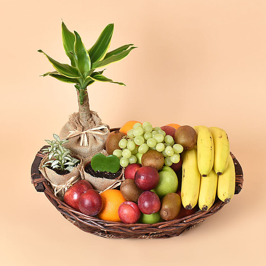 Natures Basket: 