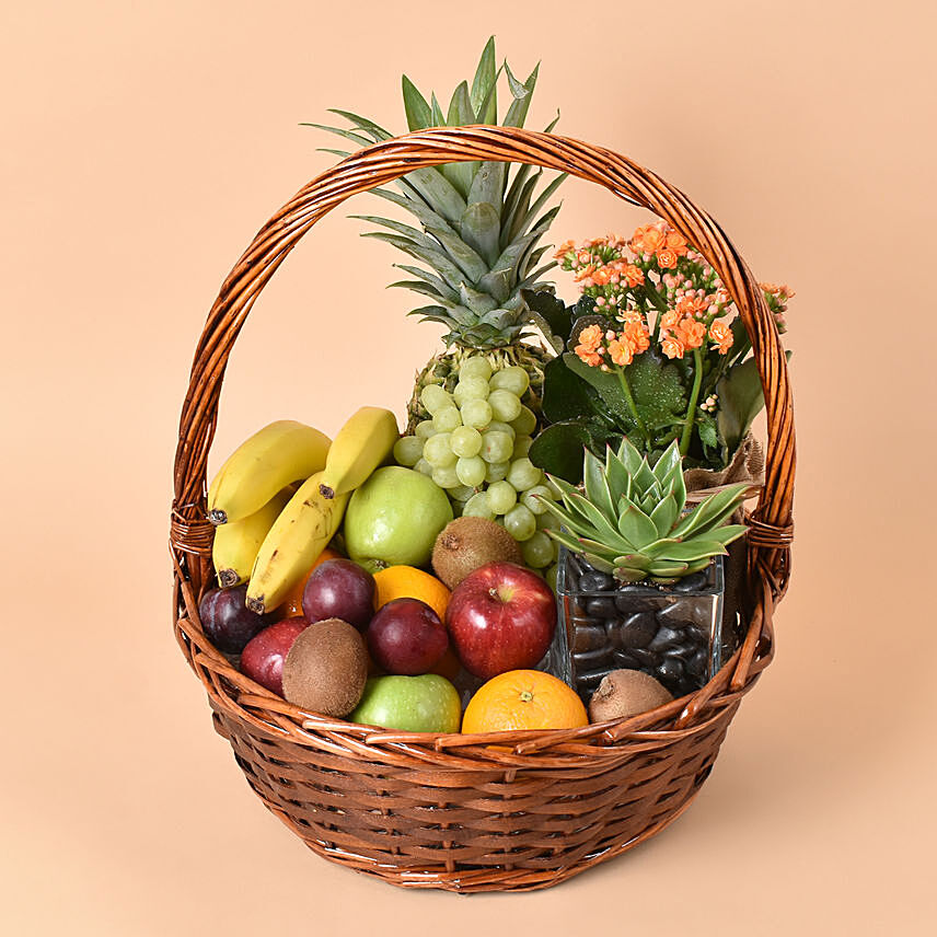 Plants and Fruits Basket: 
