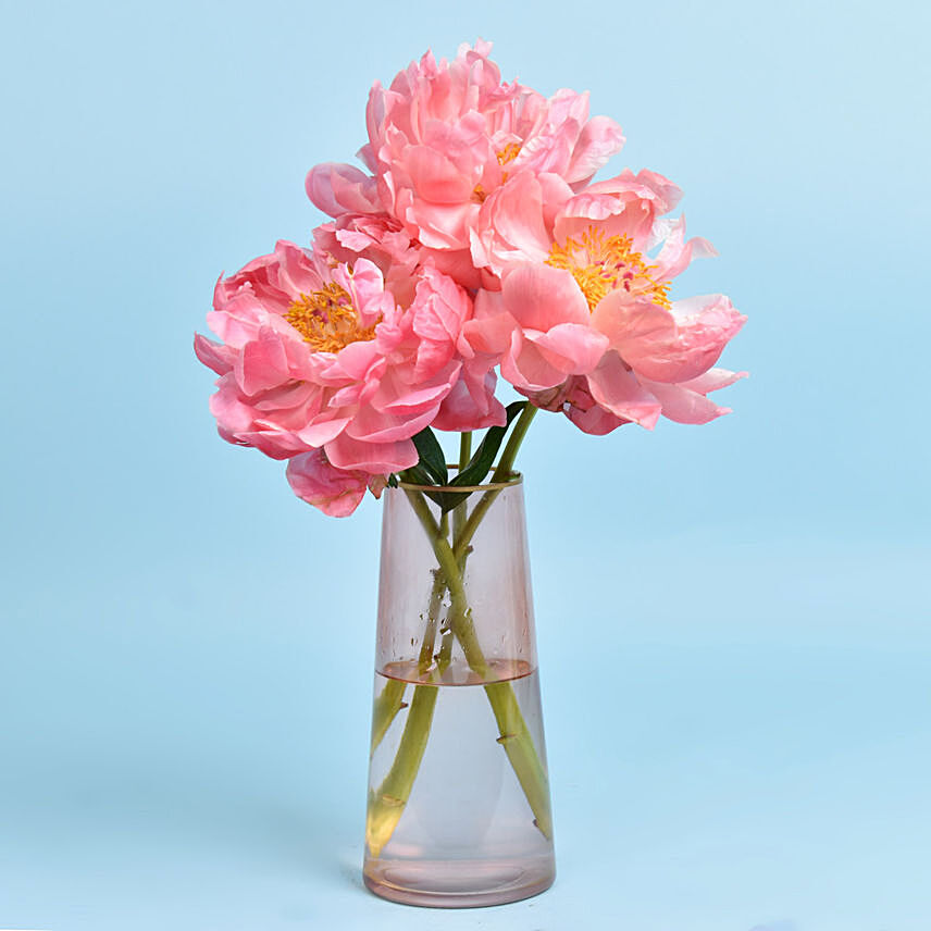 Three Peonies in Vase: Peonies Flower Bouquets