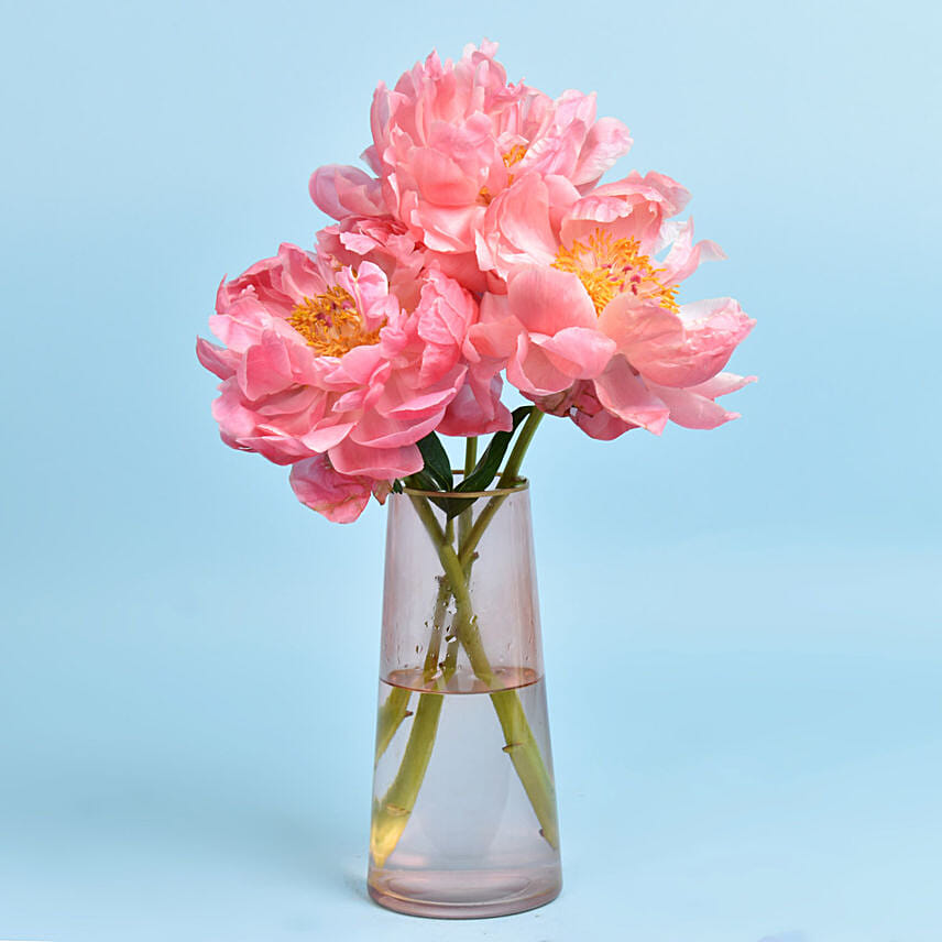 Three Peonies in Vase: Peony Bouquet