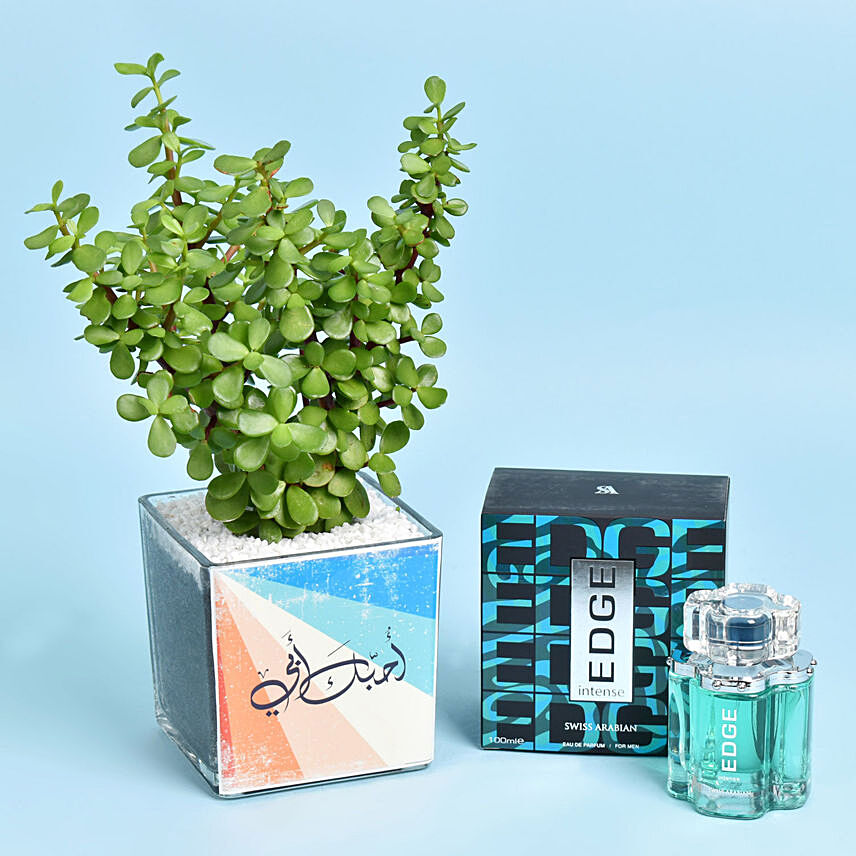 Love You Dad Jade Plant and Perfume: Fathers Day Plants