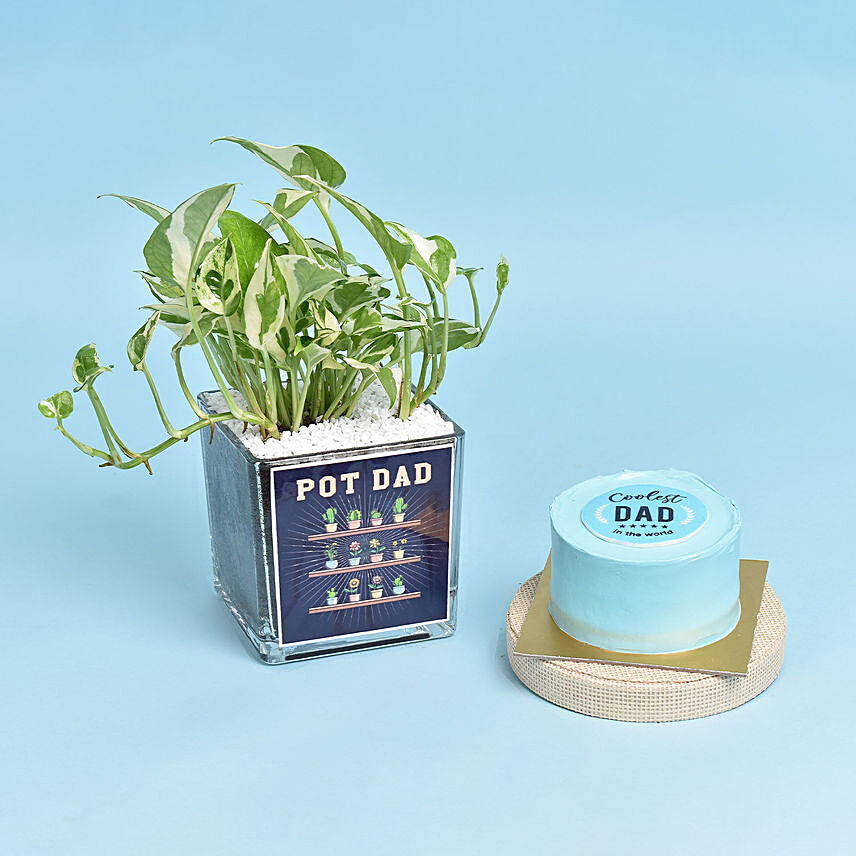 Pot Dad Plant and Cake Combo: Fathers Day Plants
