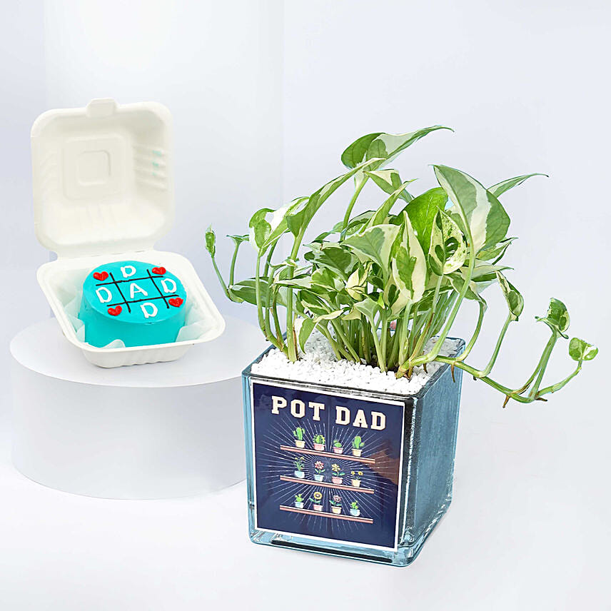Pot Dad Plant and Cake Combo: Fathers Day Plants