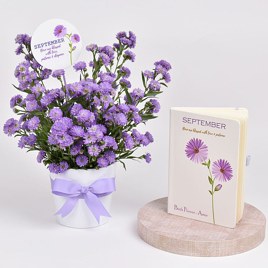 September Birthday Flower and Printed Diary: Accessories for Him