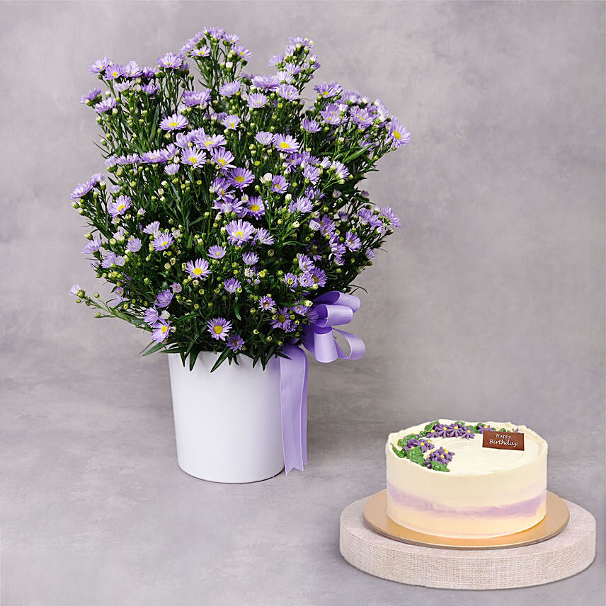 Aster Flower Elegance Birthday Wish and Cake: Birthday Combos