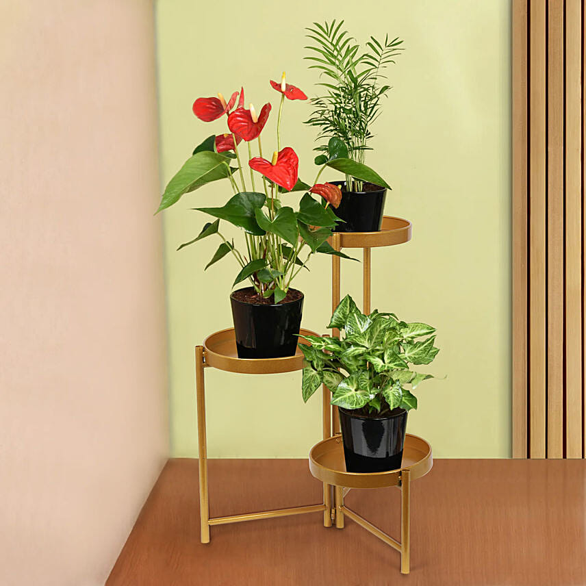 Natures Elegance Plant Stand: Flowering Plants