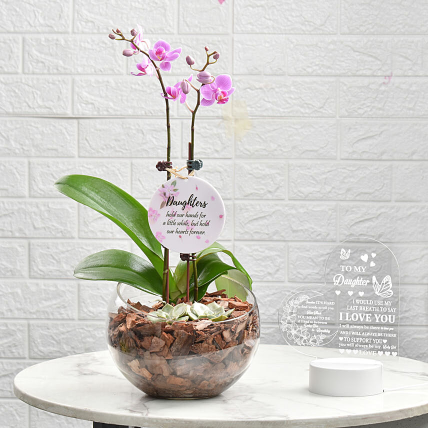 Love For Daughter Orchid Plant and Lamp: Daughters Day Gifts