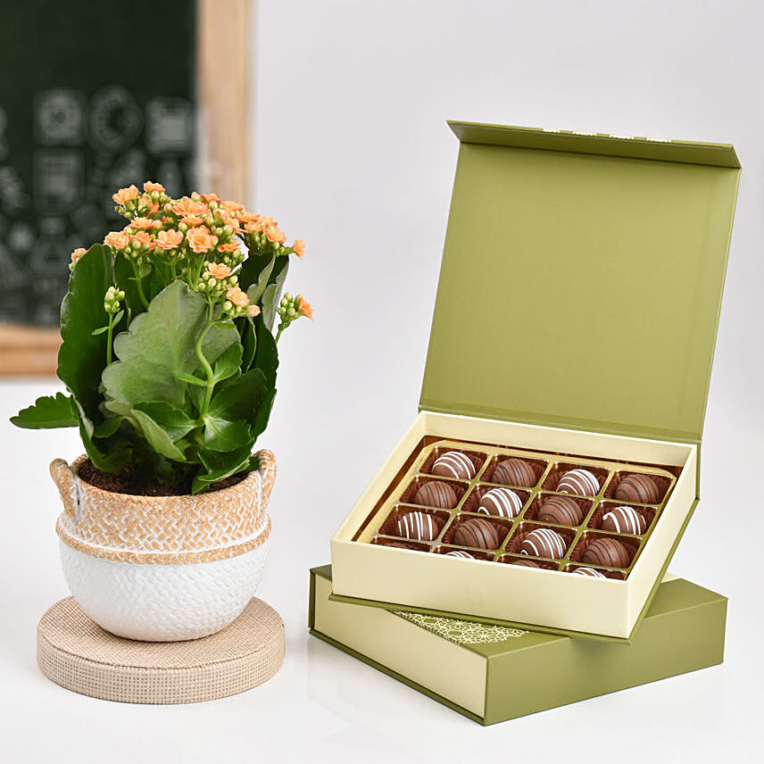 Kalanchoe Plant And Chocolates Combo: Gift for Teacher