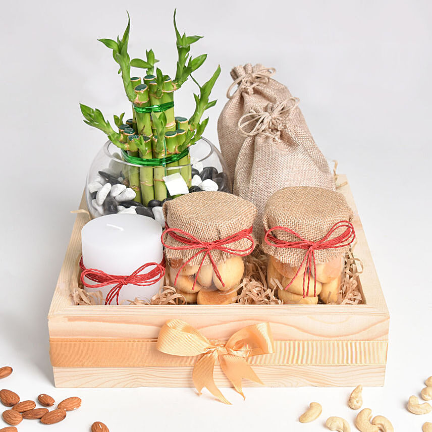 Snack Treat with Bamboo: Plants for Birthday Gift