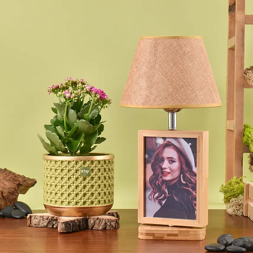 Kalanchoe Plant with Photo Lamp: 