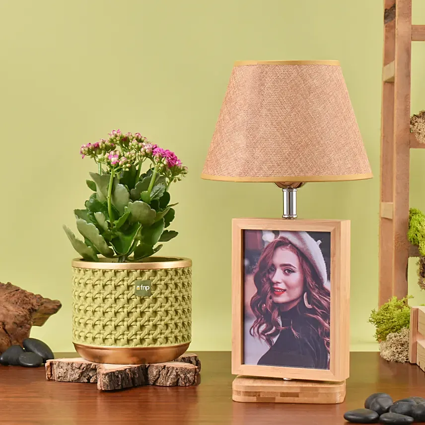 Kalanchoe Plant with Photo Lamp: Anniversary Plants