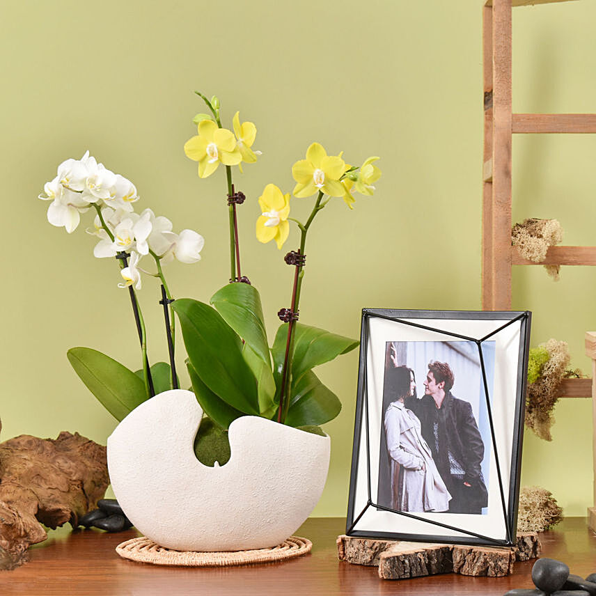 Mini Orchids with Photo Frame: 
