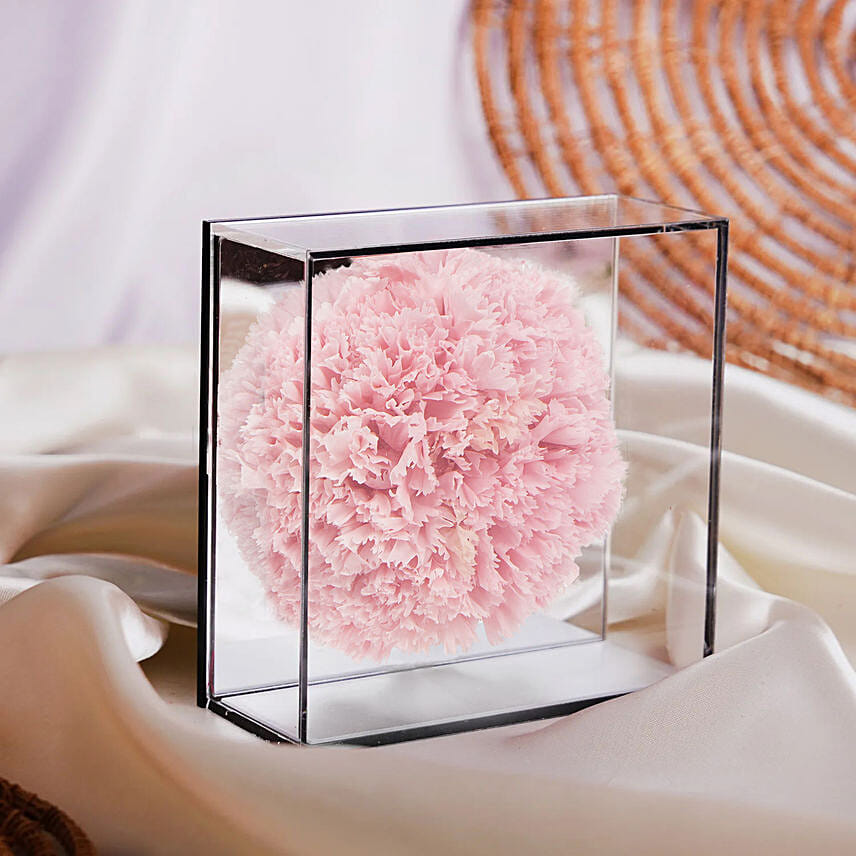Preserved Carnation in Mirror Box: 