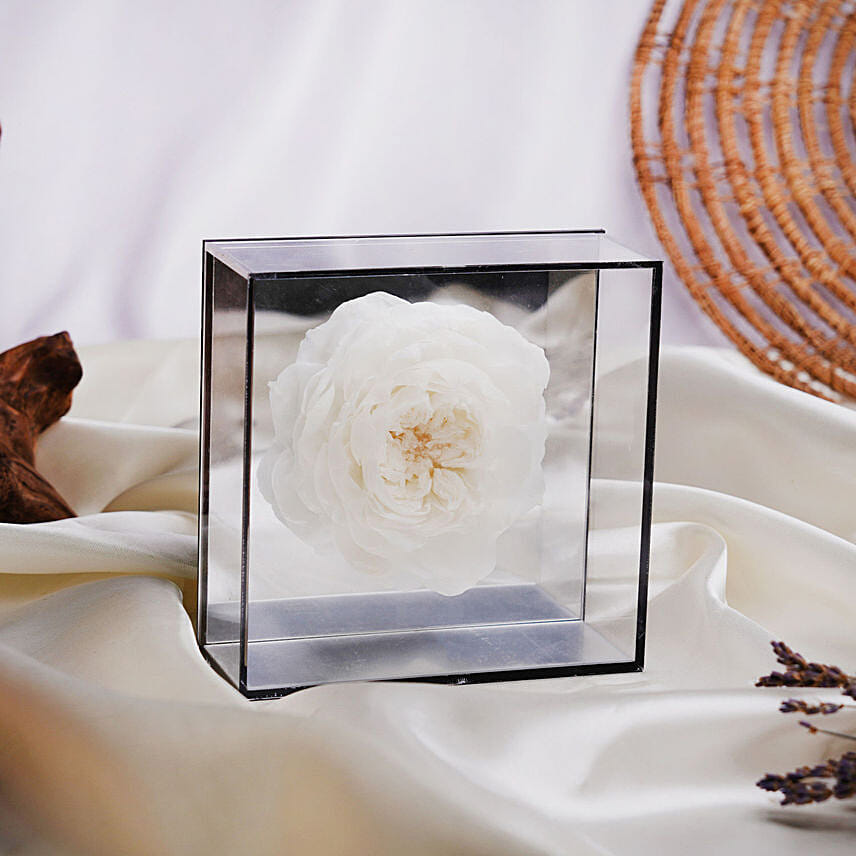 Preserved Peony in Mirror Box: Dried Flower Bouquet