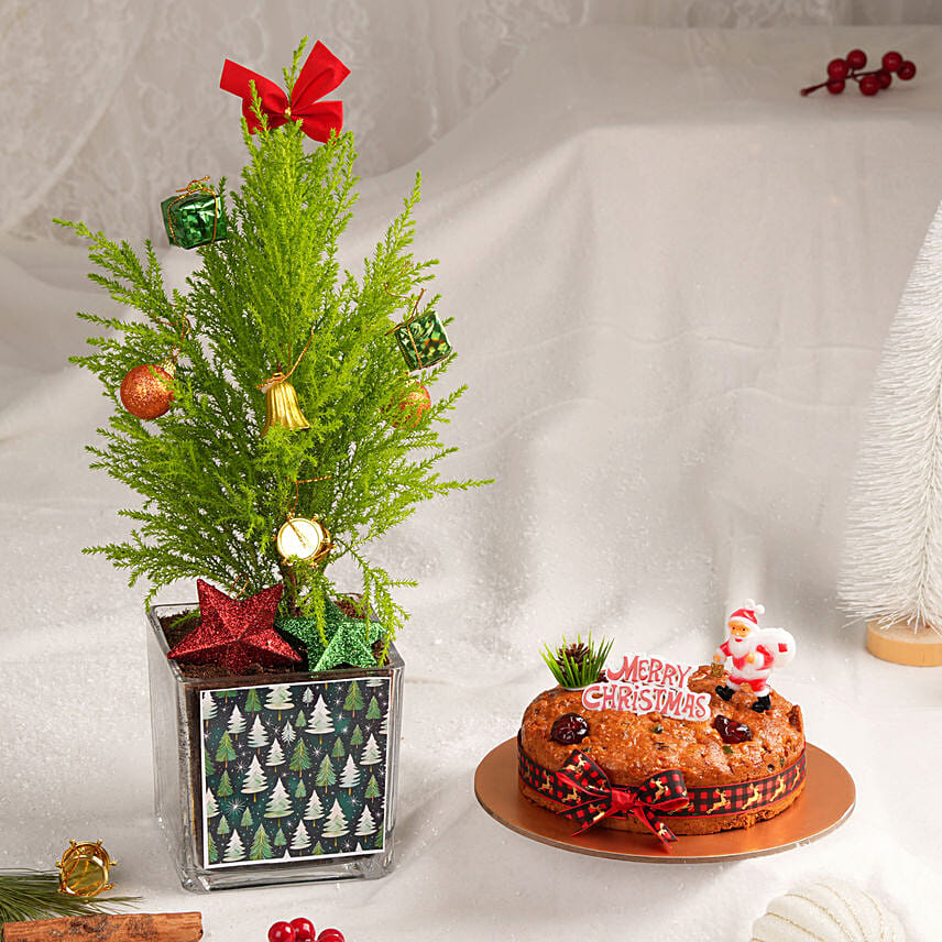 Decorated Christmas Plant and Plum Cake: 