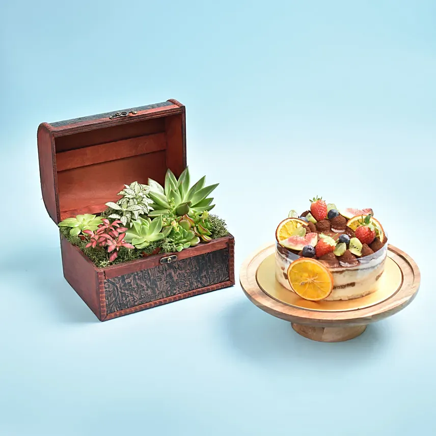 Garden Treasure Box With Cake: Cactus and Succulents