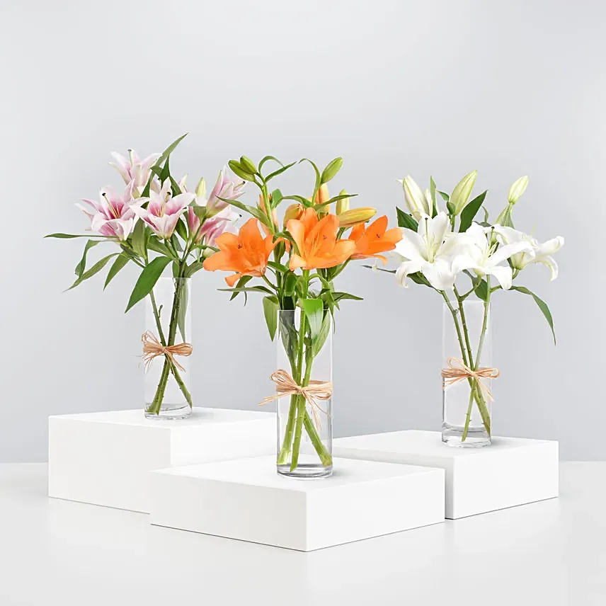 Lilies Beauty Trio:  Lilies flowers Bouquet