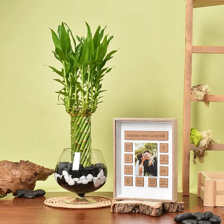 Lucky Bamboo Wheel Plant with Love Frame: Plants  in UAE from Fnp.ae
