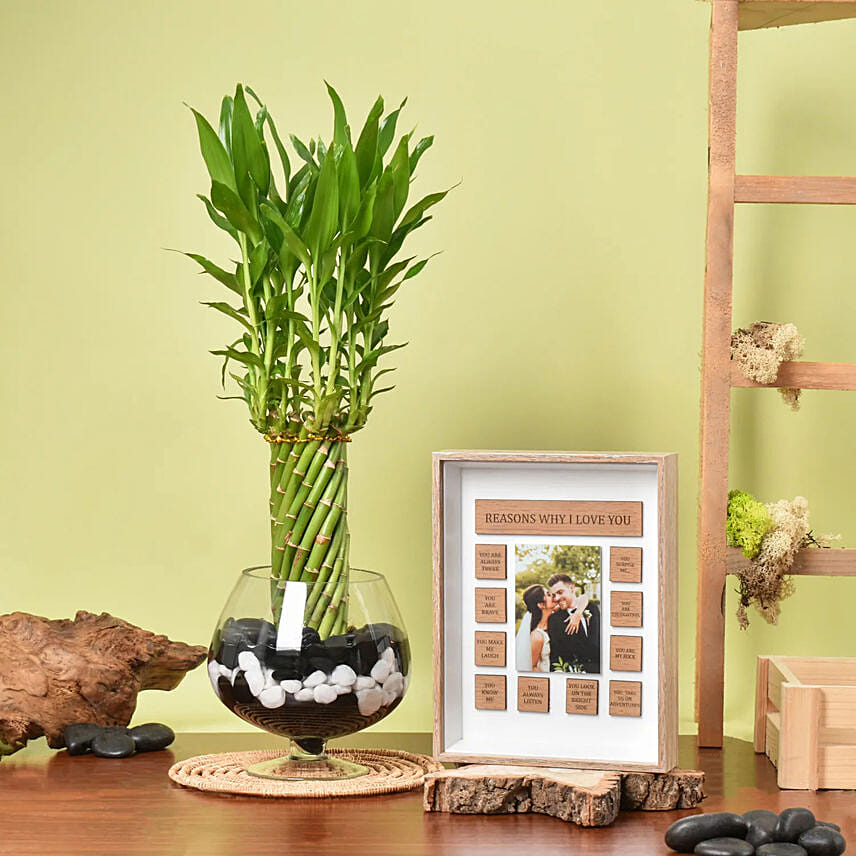 Lucky Bamboo Wheel Plant with Love Frame: New Arrival Combos