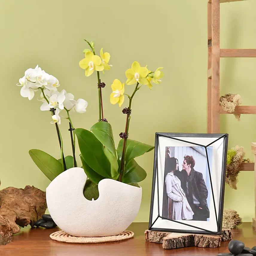 Mini Orchids with Photo Frame: Gifts for Girlfriend