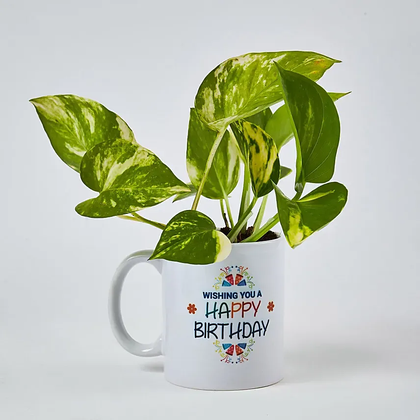 Money Plant In Happy Birthday Mug: Spiritual N Vastu Plants