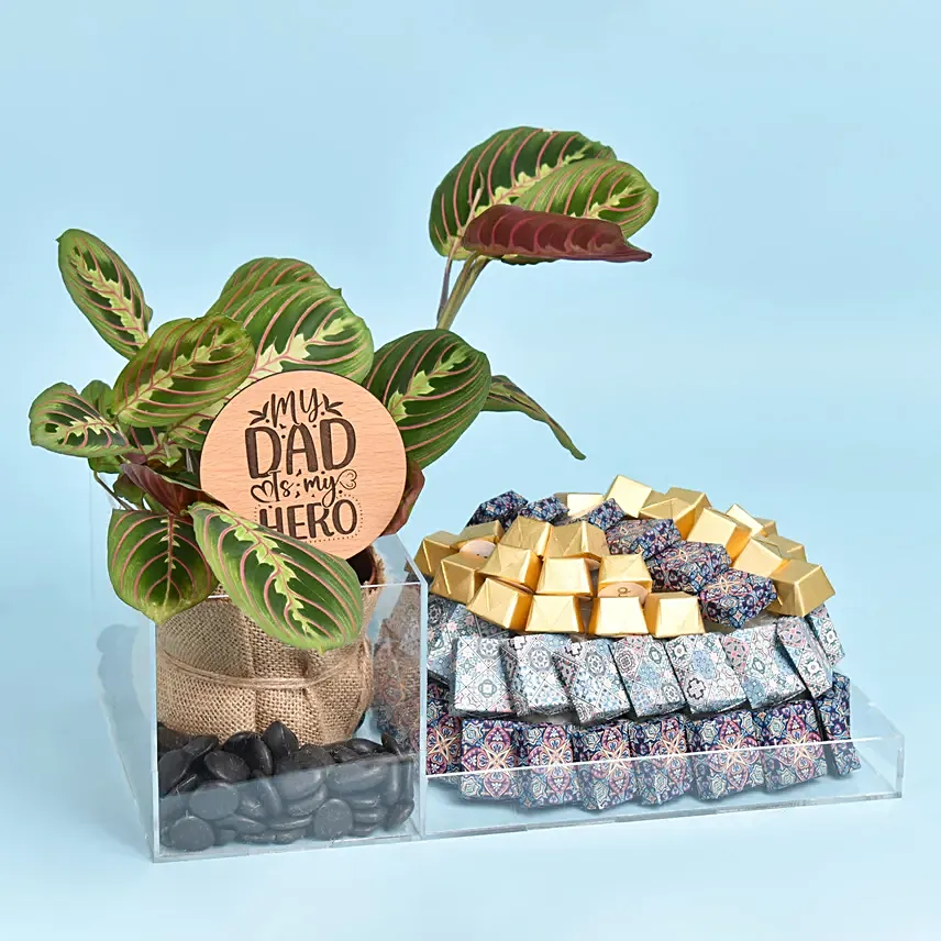 Premium Chocolates and Plant: Fathers Day Chocolates