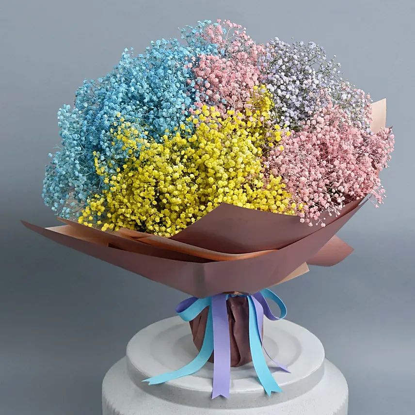 Rainbow Clouds: New Born Flowers 