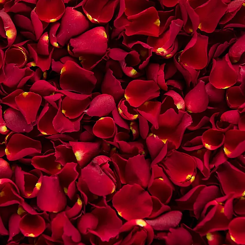 Rose Petals: Diwali Flowers