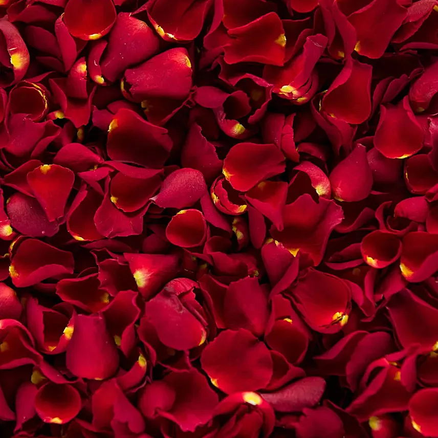 Rose Petals: 