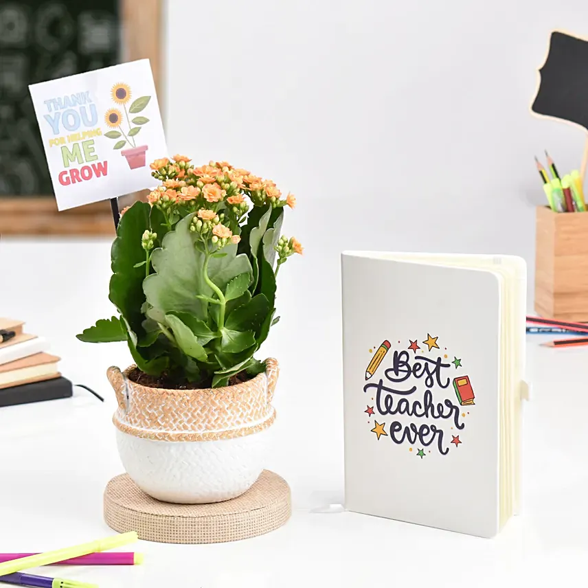 Thank You Plant And Diary For Teacher: Teachers Day Gifts Ideas